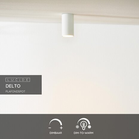 Lucide DELTO - Plafondspot - Ø 5,5 cm - LED Dim to warm - GU10 - 1x5W 2200K/3000K - Wit Lucide DELTO - Plafondspot - Ø 5,5 cm - LED Dim to warm - GU10 - 1x5W 2200K/3000K - Wit