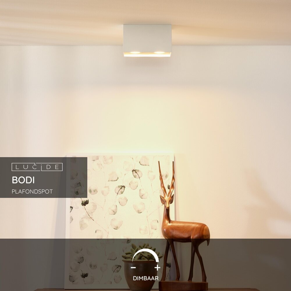 Lucide BODI - Plafondspot - 2xGU10 - Wit Lucide BODI - Plafondspot - 2xGU10 - Wit