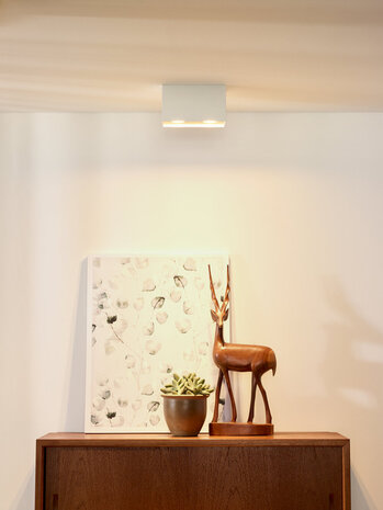 Lucide BODI - Plafondspot - 2xGU10 - Wit Lucide BODI - Plafondspot - 2xGU10 - Wit