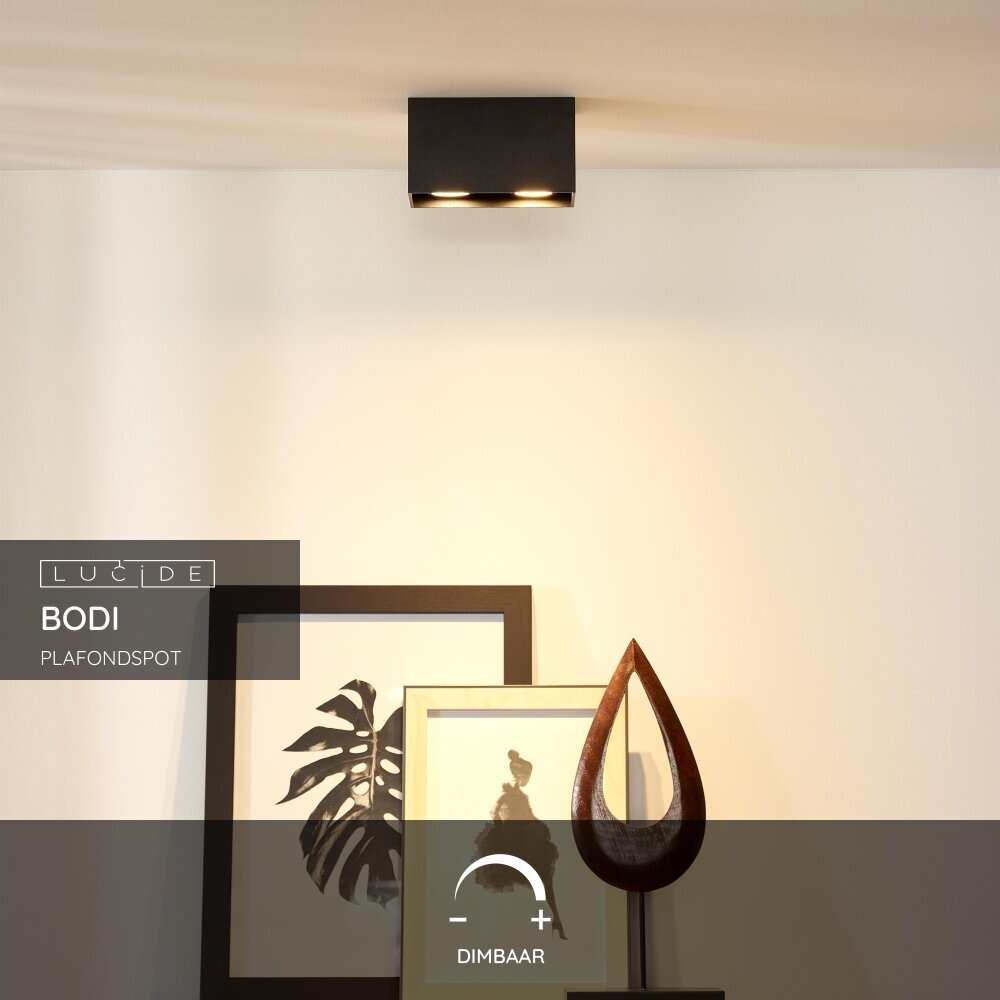 Lucide BODI - Plafondspot - 2xGU10 - Zwart Lucide BODI - Plafondspot - 2xGU10 - Zwart