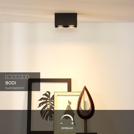 Lucide BODI - Plafondspot - 2xGU10 - Zwart Lucide BODI - Plafondspot - 2xGU10 - Zwart