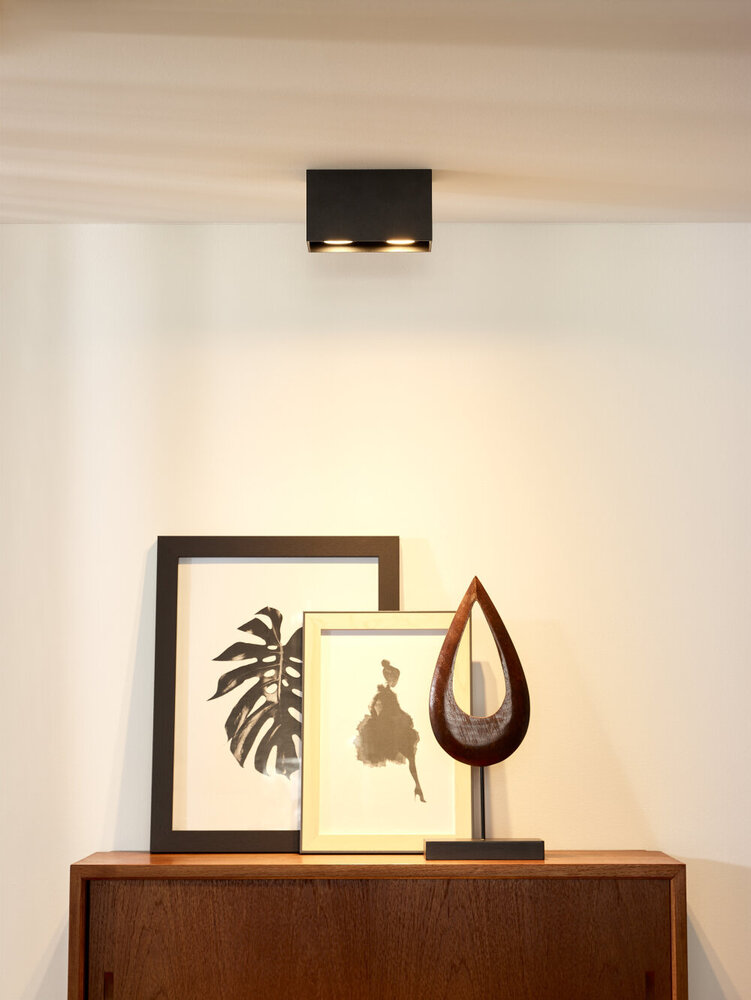 Lucide BODI - Plafondspot - 2xGU10 - Zwart Lucide BODI - Plafondspot - 2xGU10 - Zwart