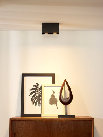 Lucide BODI - Plafondspot - 2xGU10 - Zwart Lucide BODI - Plafondspot - 2xGU10 - Zwart