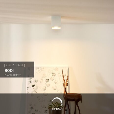 Lucide BODI - Plafondspot - 1xGU10 - Wit Lucide BODI - Plafondspot - 1xGU10 - Wit