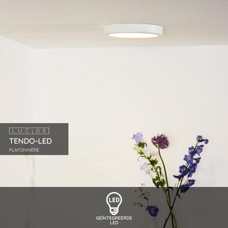 Lucide TENDO-LED - Plafonnière - Ø 22 cm - LED - 1x18W 3000K - Wit Lucide TENDO-LED - Plafonnière - Ø 22 cm - LED - 1x18W 3000K - Wit