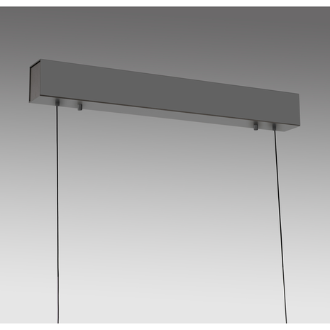 Paul Neuhaus Hanglamp Adriana verstelbaar L 120-179 cm comfortlift antraciet Paul Neuhaus Hanglamp Adriana verstelbaar L 120-179 cm comfortlift antraciet