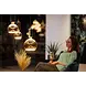 Segula Lamp Floating LED G125 6W 220LM 1900K Dimbaar Smoke Segula Lamp Floating LED G125 6W 220LM 1900K Dimbaar Smoke