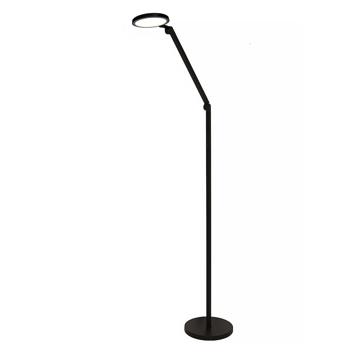 Freelight Vloerlamp Dodici H 160 cm zwart