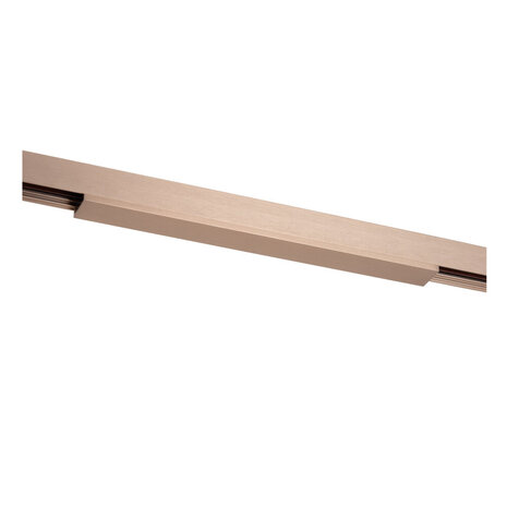 Lucide Premium LINIAL Afdekplaat/cover- 1-fase Railsysteem / Railverlichting - 10 CM - Champagne