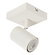 Lucide AMIGO - Plafondspot - 1xGU10 (MR16) - Wit