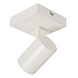 Lucide AMIGO - Plafondspot - 1xGU10 - Wit Lucide AMIGO - Plafondspot - 1xGU10 - Wit