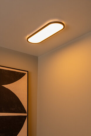 Lucide ELLY - Plafonnière - LED Dimb. - CCT - 1x24W 2700K/4000K - Opaal | Essential