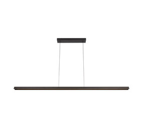 Lucide FELSTED - Hanglamp - LED Dimb. - CCT - 1x28W 2200K/4000K - Zwart | Vibes