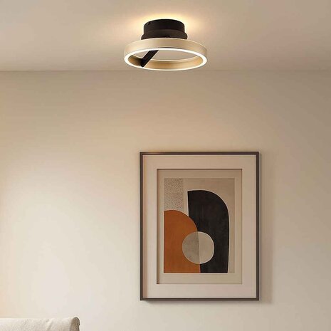 Freelight Plafondlamp Pilota Ø 30 cm zwart goud Freelight Plafondlamp Pilota Ø 30 cm zwart goud