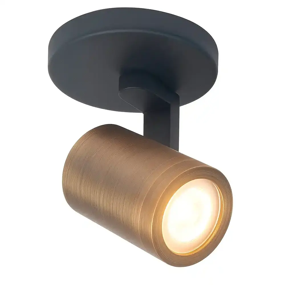 Highlight Spot HALO 1 lichts brons zwart Highlight Spot HALO 1 lichts brons zwart