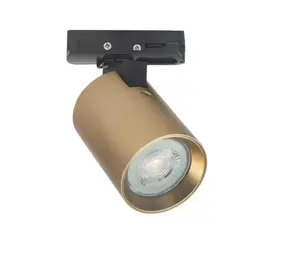 Highlight Railspot Trackline Oliver mat goud