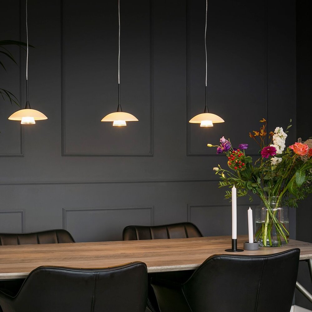 Steinhauer Hanglamp tallerken LED 2654zw zwart