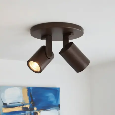 Highlight Spot HALO 2 lichts rond cacao Highlight Spot HALO 2 lichts rond cacao