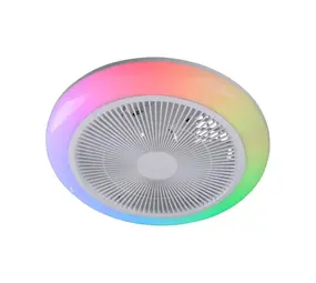 Paul Neuhaus Plafondventilator Brenda Ø 46 cm RGB wit