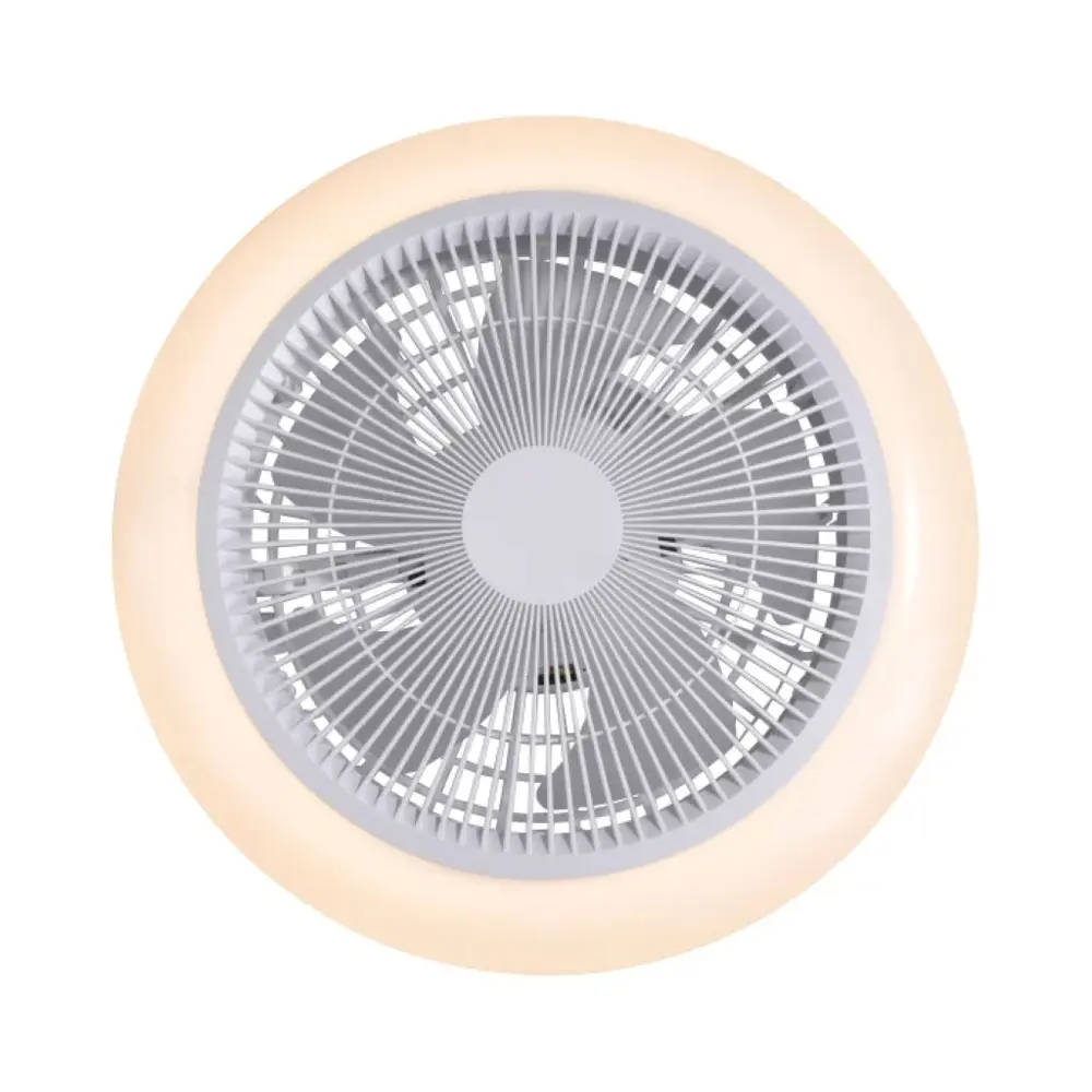 Paul Neuhaus Plafondventilator Brenda Ø 46 cm RGB wit