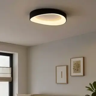 Zwarte Plafondlampen