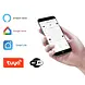 Freelight Plafondventilator Ventola Tuya Ø 60 cm RGB zwart Freelight Plafondventilator Ventola Tuya Ø 60 cm RGB zwart