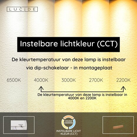 BANNISTER - Wandlamp - LED Dimb. - CCT - 1x9W 2200K/4000K - Lichte houtlook | Vibes