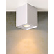 Lucide TUBE - Plafondspot - 1xGU10 (MR16) - Wit Lucide TUBE - Plafondspot - 1xGU10 (MR16) - Wit