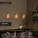 Lucide WOLFRAM - Hanglamp - 3xE27 - Mat Goud / Messing