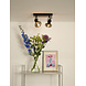 Lucide MADEE - Plafondspot - 2xE14 - Zwart Lucide MADEE - Plafondspot - 2xE14 - Zwart