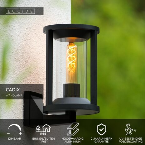 Lucide CADIX - Wandlamp Binnen/Buiten - 1xE27 - IP65 - Zwart