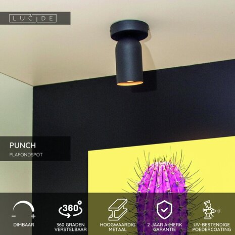 Lucide PUNCH - Plafondspot - 1xGU10 (MR16) - Zwart Lucide PUNCH - Plafondspot - 1xGU10 (MR16) - Zwart