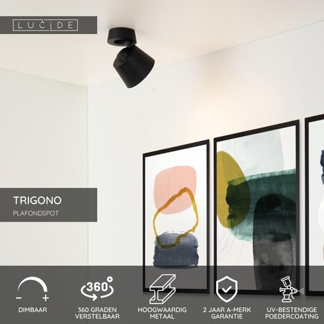 Lucide TRIGONO - Plafondspot - Ø 10,5 cm - 1xGU10 (MR16) - Zwart Lucide TRIGONO - Plafondspot - Ø 10,5 cm - 1xGU10 (MR16) - Zwart