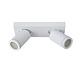 Lucide TAYLOR - Plafondspot Badkamer - LED Dim to warm - GU10 (MR16) - 2x5W 2200K/3000K - IP44 - Wit