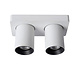 Lucide NIGEL - Plafondspot - LED Dim to warm - GU10 (MR16) - 2x5W 2200K/3000K - Wit