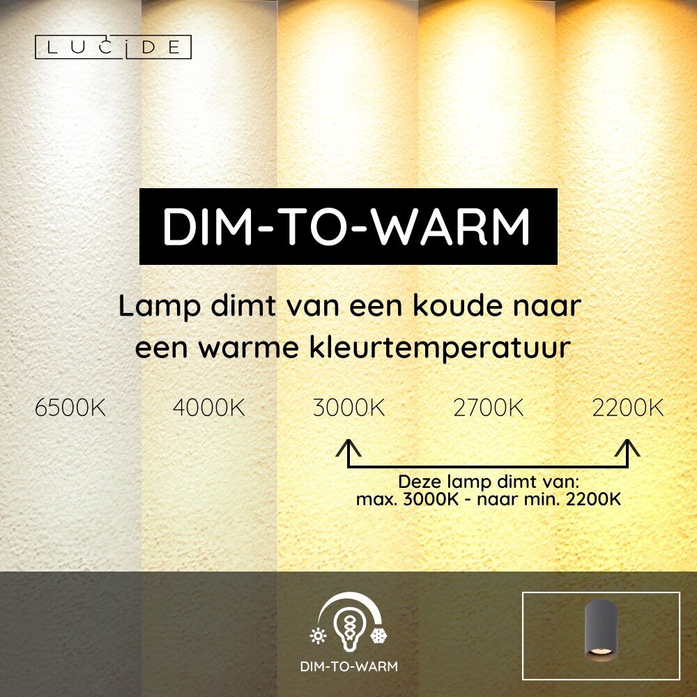 Lucide DELTO - Plafondspot - Ø 5,5 cm - LED Dim to warm - GU10 (MR16) - 1x5W 2200K/3000K - Grijs Lucide DELTO - Plafondspot - Ø 5,5 cm - LED Dim to warm - GU10 (MR16) - 1x5W 2200K/3000K - Grijs
