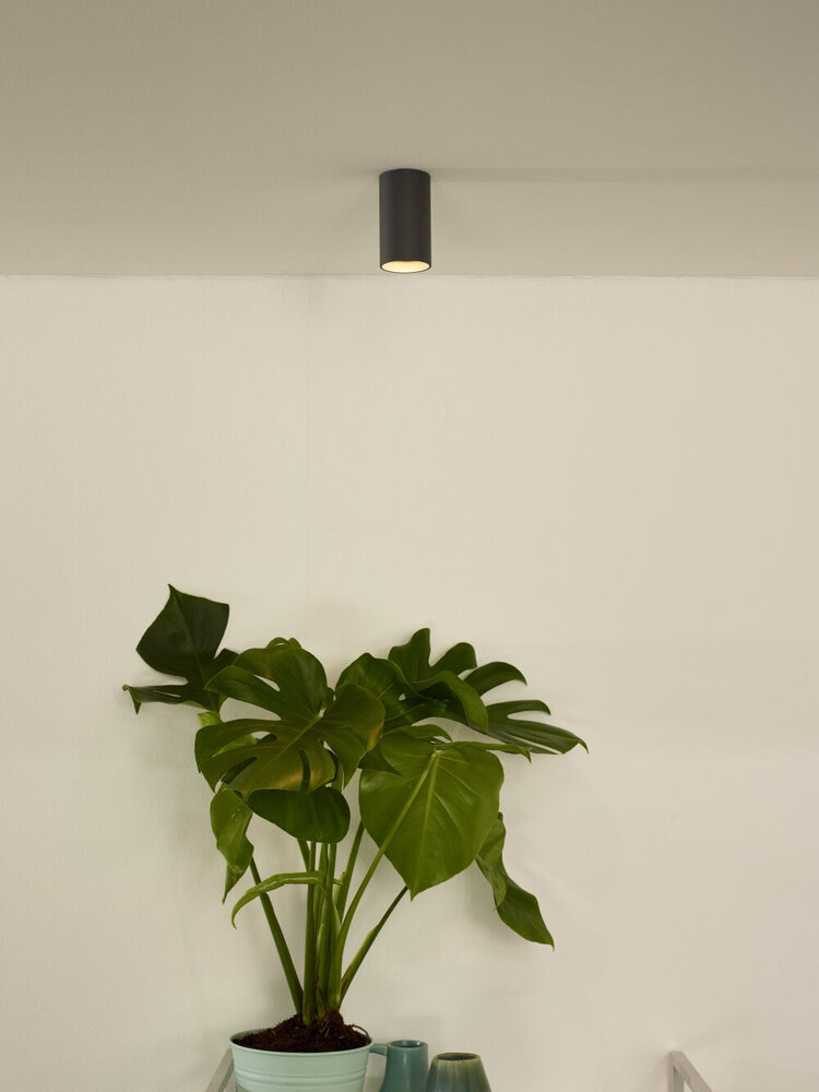 Lucide DELTO - Plafondspot - Ø 5,5 cm - LED Dim to warm - GU10 (MR16) - 1x5W 2200K/3000K - Grijs Lucide DELTO - Plafondspot - Ø 5,5 cm - LED Dim to warm - GU10 (MR16) - 1x5W 2200K/3000K - Grijs