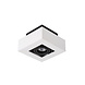 Lucide XIRAX - Plafondspot - LED Dim to warm - GU10 (MR16) - 1x5W 2200K/3000K - Wit Lucide XIRAX - Plafondspot - LED Dim to warm - GU10 (MR16) - 1x5W 2200K/3000K - Wit