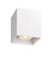 BODI - Plafondspot - 1xGU10 (MR16) - Wit
