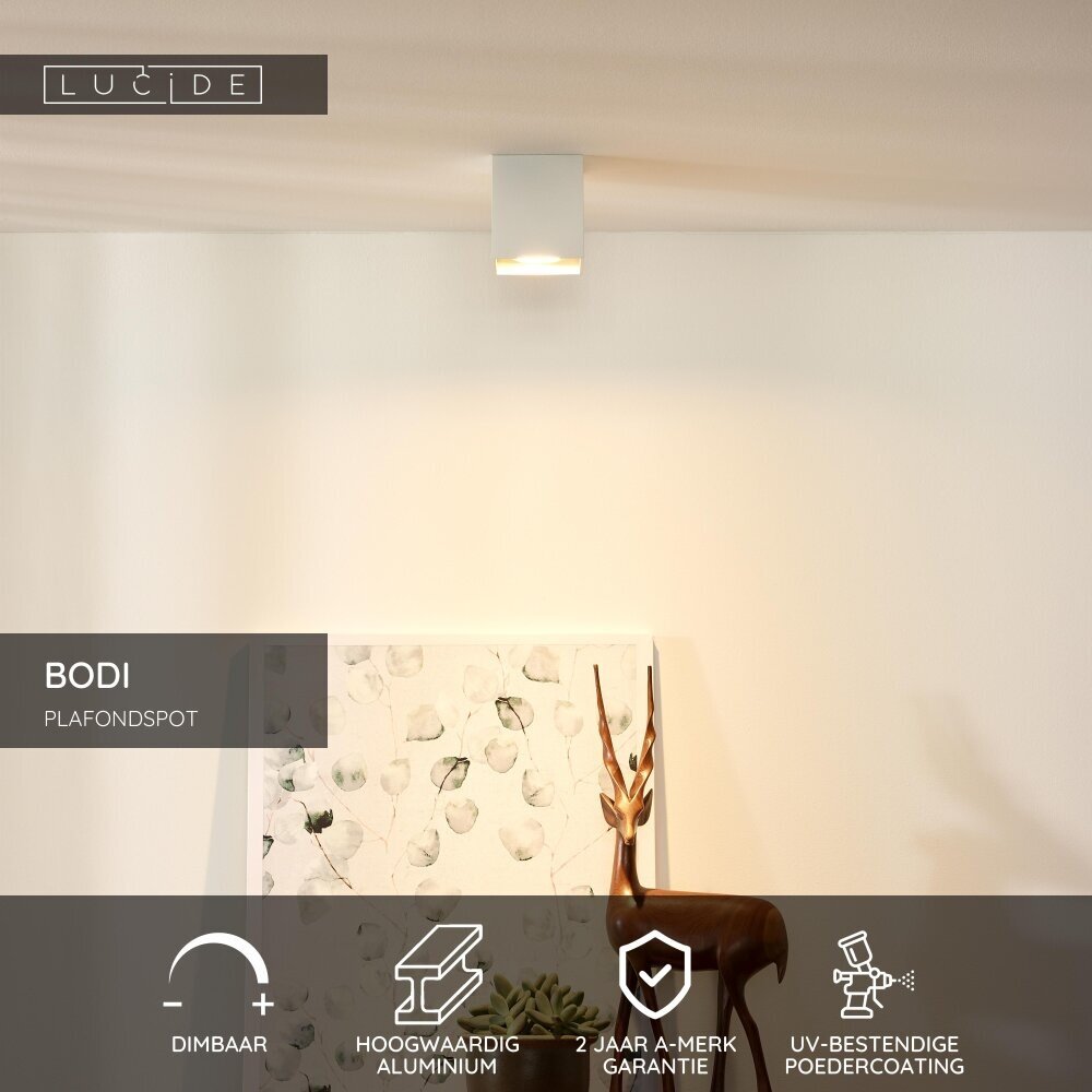 Lucide BODI - Plafondspot - 1xGU10 (MR16) - Wit