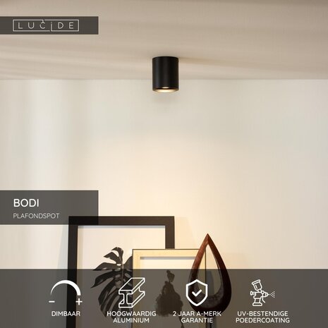 Lucide BODI - Plafondspot - Ø 8 cm - 1xGU10 (MR16) - Zwart