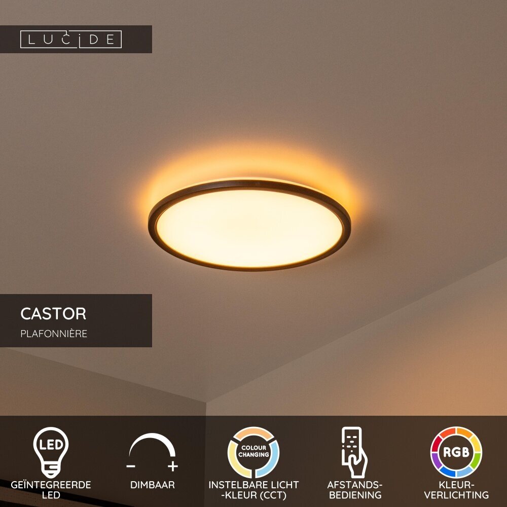 Lucide CASTOR - Plafonnière - Ø 32 cm - LED Dimb. - CCT - 1x20W 2700K/6500K - RGB - Opaal Lucide CASTOR - Plafonnière - Ø 32 cm - LED Dimb. - CCT - 1x20W 2700K/6500K - RGB - Opaal