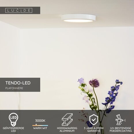Lucide TENDO-LED - Plafonnière - Ø 22 cm - LED - 1x18W 3000K - Wit Lucide TENDO-LED - Plafonnière - Ø 22 cm - LED - 1x18W 3000K - Wit
