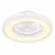 Freelight Plafondventilator Ventola Tuya Ø 60 cm RGB wit Freelight Plafondventilator Ventola Tuya Ø 60 cm RGB wit