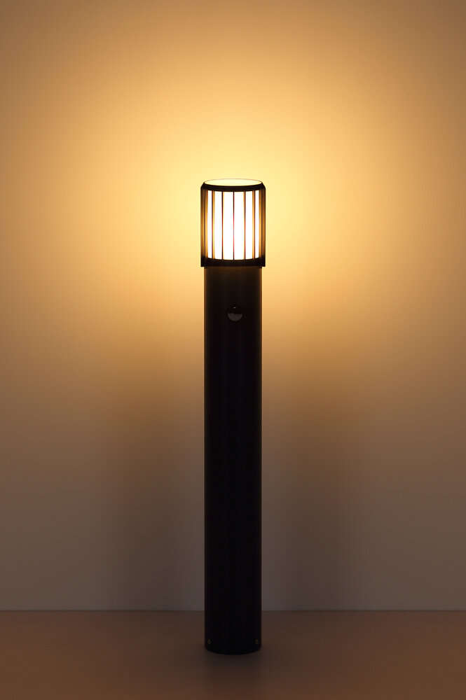 Globo Buitenlamp Mervin H 65 cm sensor antraciet
