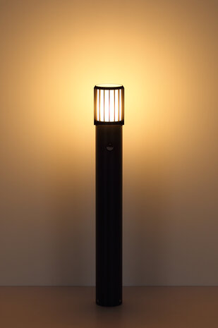 Globo Buitenlamp Mervin H 65 cm sensor antraciet