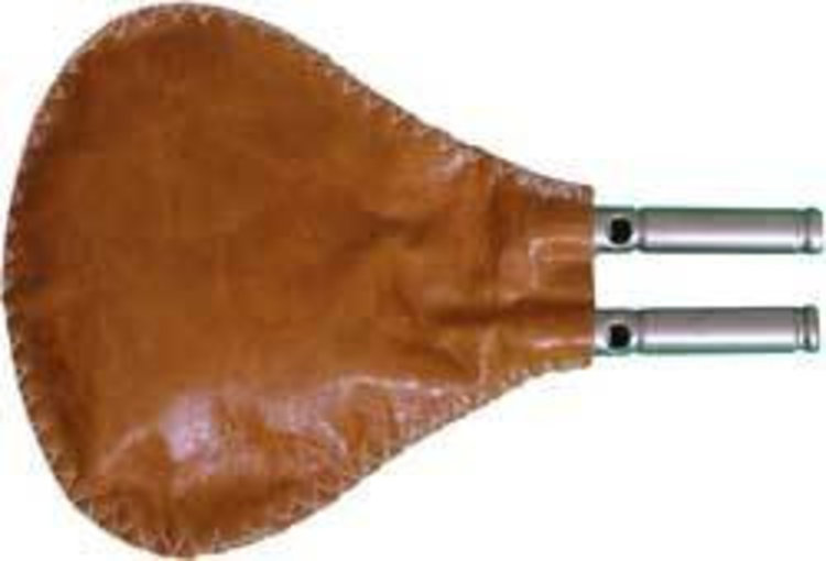 Quelle est Belle Company Bécassine des marais