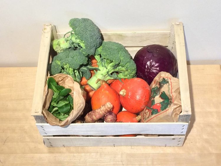 Toubio Grand Panier Légumes