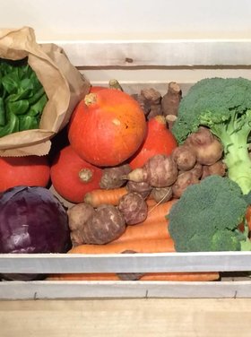 Toubio Panier Légumes