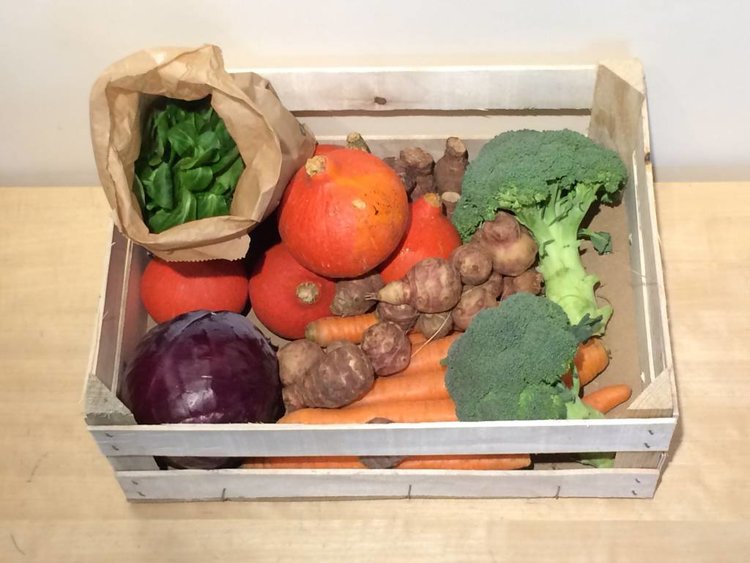 Toubio Panier Légumes